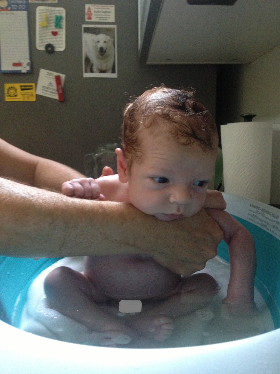 Mamma's Instincts, Jacquie Procopio